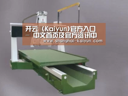 产品名称十