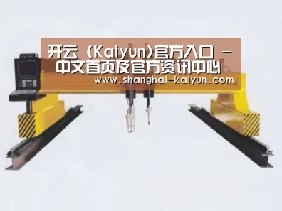 产品名称十七
